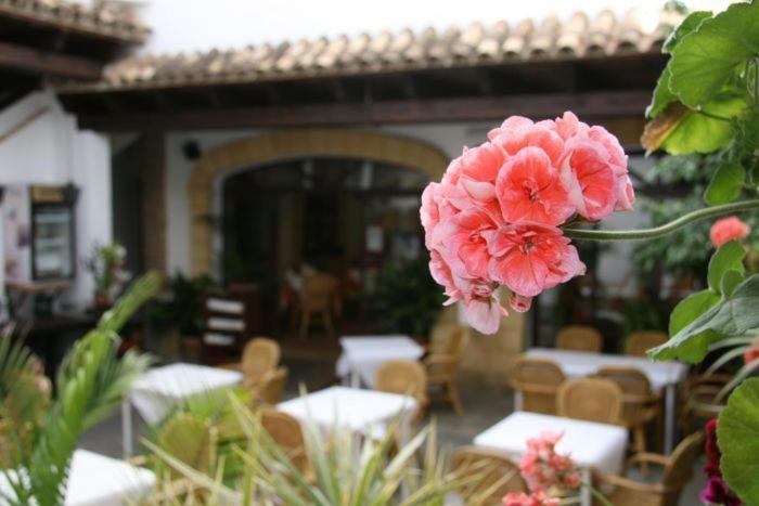 Hostal Torre De Guzman Conil De La Frontera Exterior photo