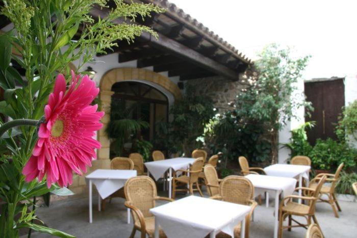 Hostal Torre De Guzman Conil De La Frontera Exterior photo